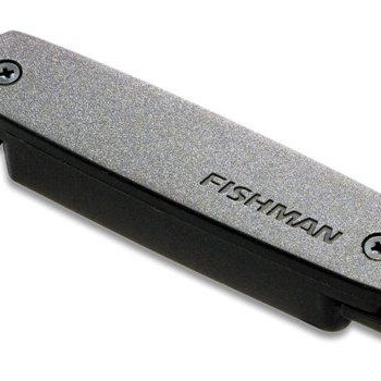 Fishman Neo D Single Coil