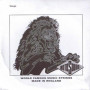 ROTOSOUND 045 Corda Baixo Avulso