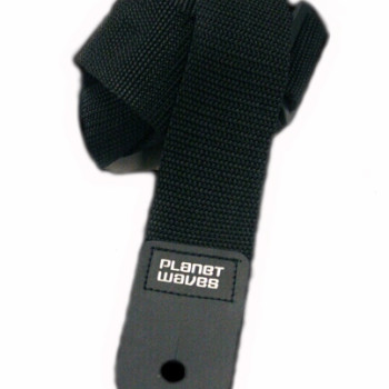 Planet Waves PWS100