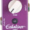 Mooer Echolizer