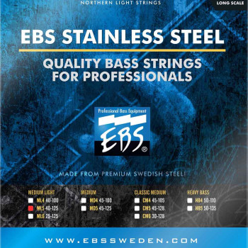EBS ML5 Medium Light