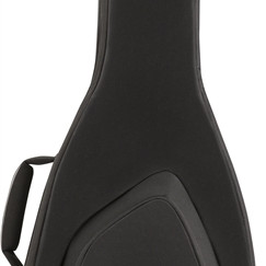 Fender FE620 Strat/Tele