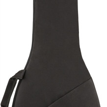 Fender FB405