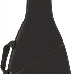 Fender FE405