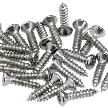 Fender Control Plate Mounting Screws