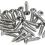 Fender Control Plate Mounting Screws