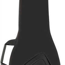 Fender FB610