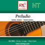 RC Strings PR40 Preludio