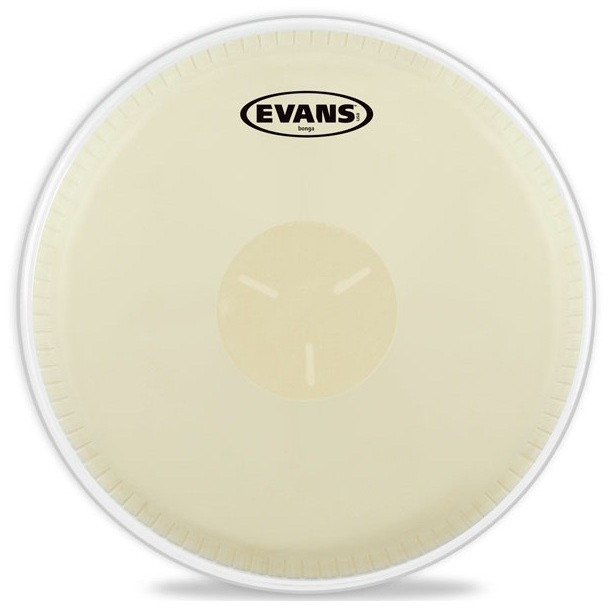 Evans EB07
