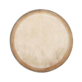 Club Salsa Pele Bongo 6