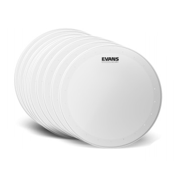 Evans 14