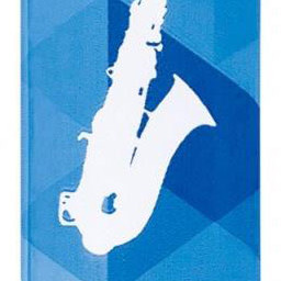 Vandoren Saxofone Alto V21 4.0