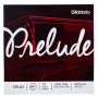 Daddario SET CORDAS VIOLONCELO 1/4 Prelude J1010