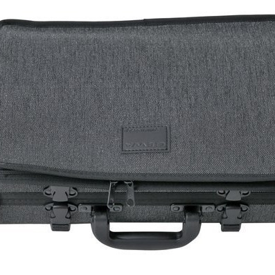 Gewa ESTOJO VIOLINO BIO I S 4/4