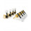 APC SET CRAVELHAS BANDOLIM GOLD