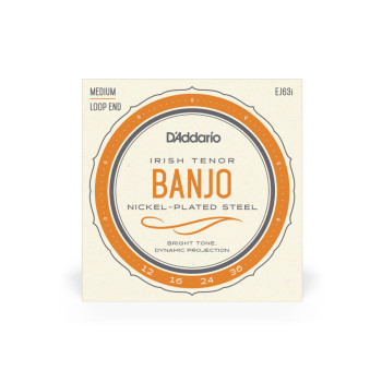 Daddario SET CORDAS BANJO Irish Tenor Set EJ63I