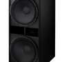 EV Electro Voice COLUNA GRAVES Passiva TX 2181