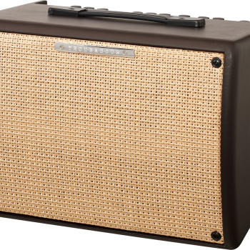 Ibanez Troubadour T30II