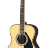 Yamaha LS 36ARE