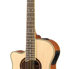 Yamaha APX 700 II