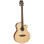 Tanglewood Discovery DBT SFCE BW
