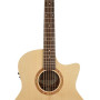 Richwood SWG 110 CE