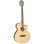 Tanglewood Discovery DBT SFCE OV