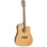 Tanglewood Winterleaf TW10