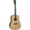 Tanglewood Heritage TW15 H E