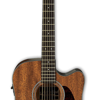 Ibanez AW54CE  Open Pore Natural