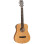 Tanglewood Winterleaf TW2 TSE