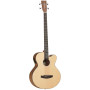 Tanglewood Discovery DBT AB BW