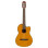 Yamaha NCX1FM NT