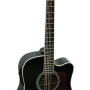 Phoenix 002 CE BK