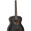 Tanglewood Blackbird Orchestra TWBB O