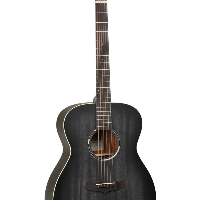 Tanglewood Blackbird Orchestra TWBB O