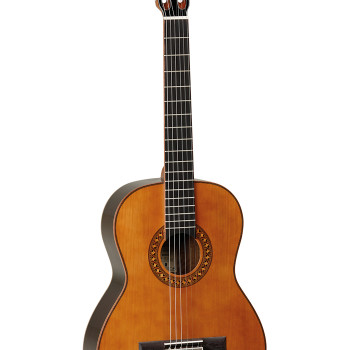 Tanglewood EM D3