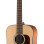 Walden D552E 12 Cordas