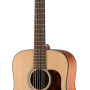 Walden D552E 12 Cordas