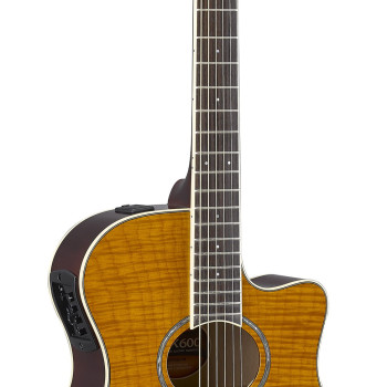 Yamaha APX600 FM AM
