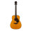 Yamaha FGX5 Red label