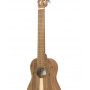 APC TR200 KOA NY