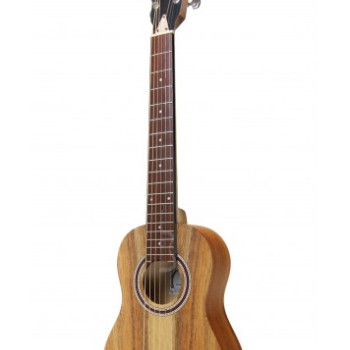 APC TR200 Koa ST
