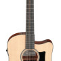 Ibanez AAD50CELG