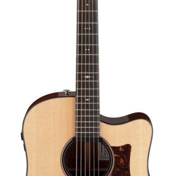 Ibanez AAD400CELGS