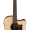 Ibanez AAD400CELGS