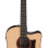 Ibanez AAD300CELGS