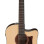 Ibanez AAD170CELGS