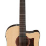 Ibanez AAD170CELGS
