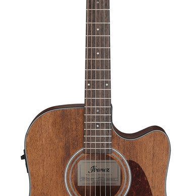 Ibanez Artwood AW54CE Open Pore Natural